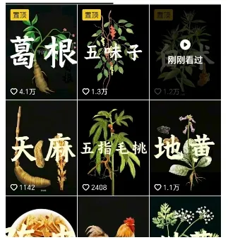 抖音中草药赛道，用AI做中草药故事视频，45条作品涨粉13W，橱窗带货猛猛出单