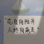 lanyean的头像-706资源网