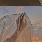 杜多余的头像-706资源网