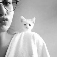 ssiw的头像-706资源网