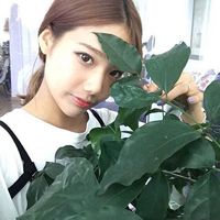 yang0219的头像-706资源网