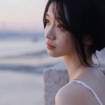 可爱的小猫咪