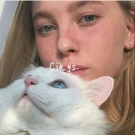 cc
