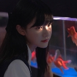山城明月