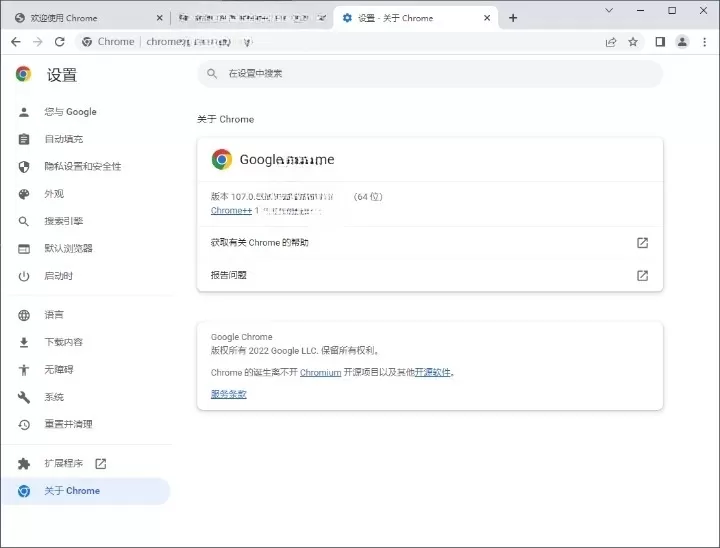 Google Chrome 谷歌浏览器 v130.0.6723.59增强版