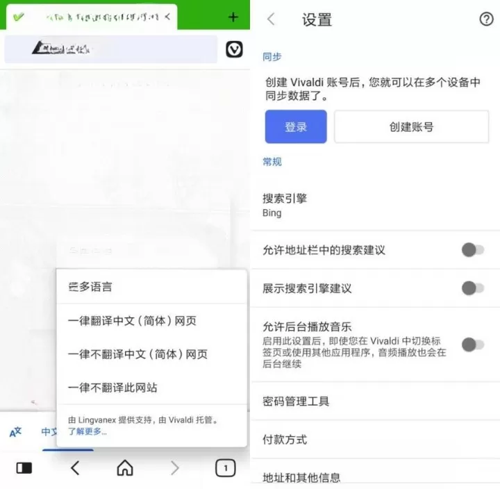 Vivaldi浏览器v6.9.3451.67