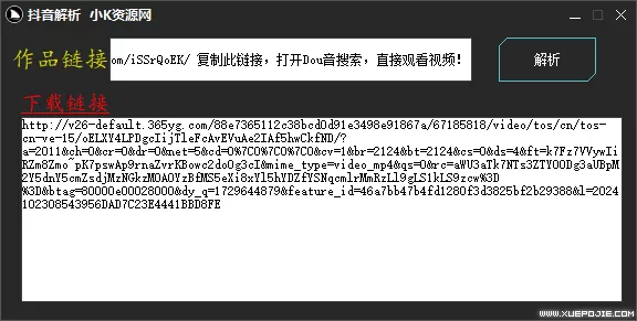 抖音解析去水印下载工具v1.0 长期版本