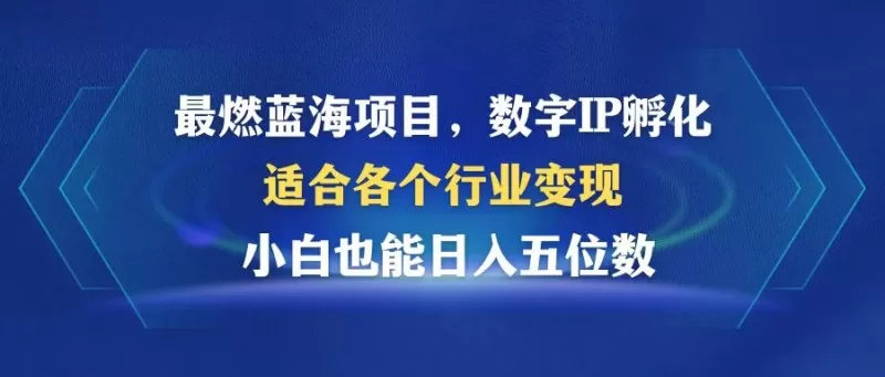 最燃蓝海项目 数字IP孵化 适用于各个行业 小白也能日入5位数