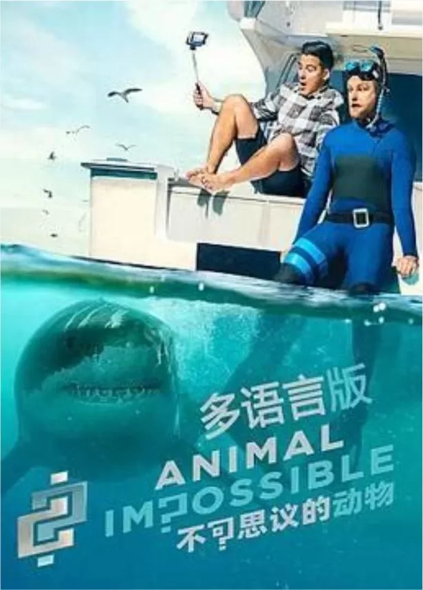 《不可思议的动物家园》纪录片 (2020) 1080P 国语