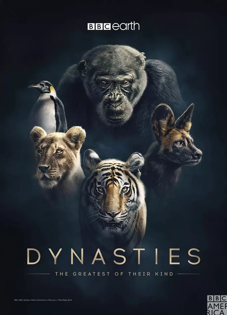 《王朝》纪录片 第一季 Dynasties Season 1 (2018)