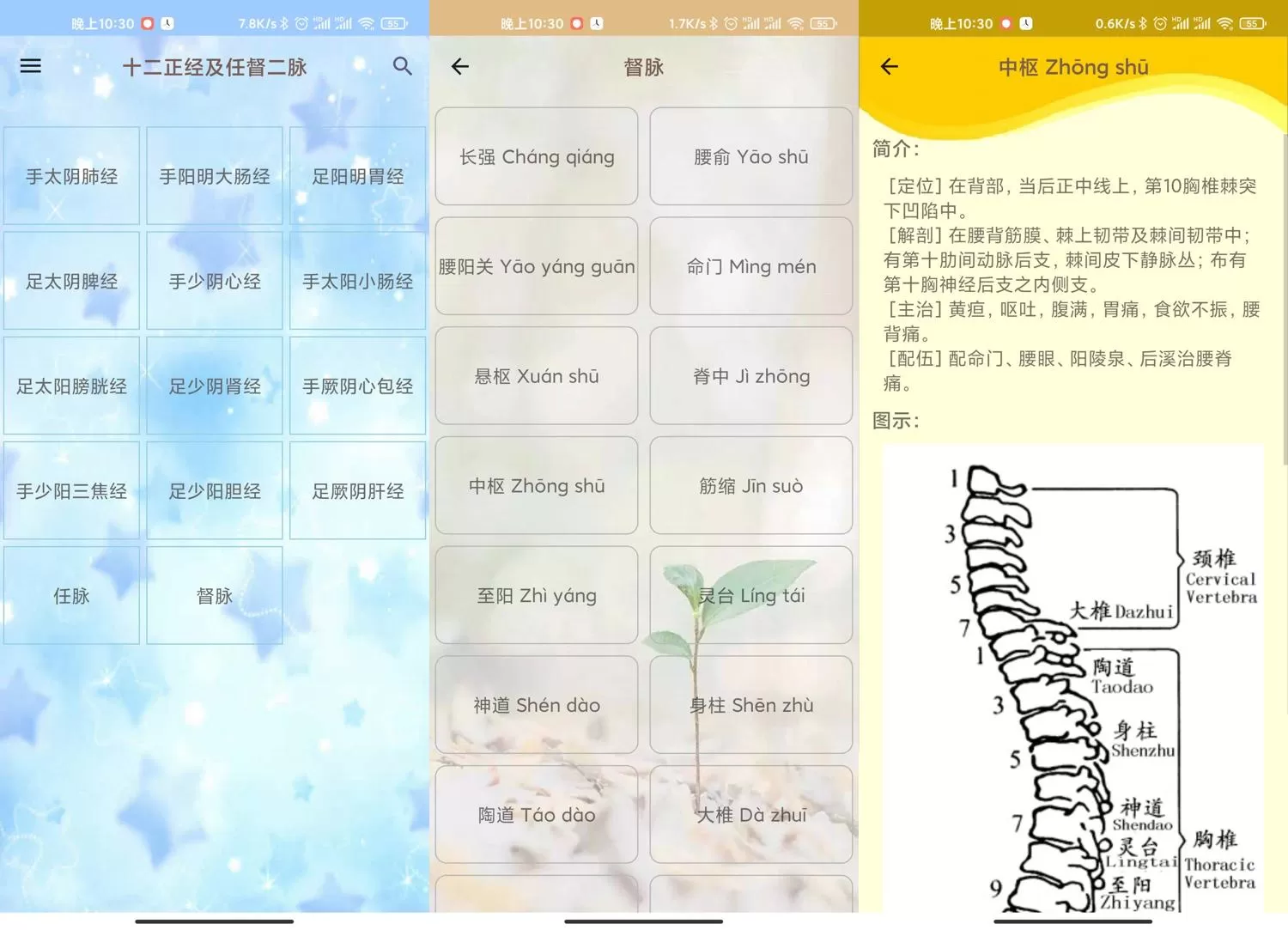 人体穴位图解v3.1.4可离线版