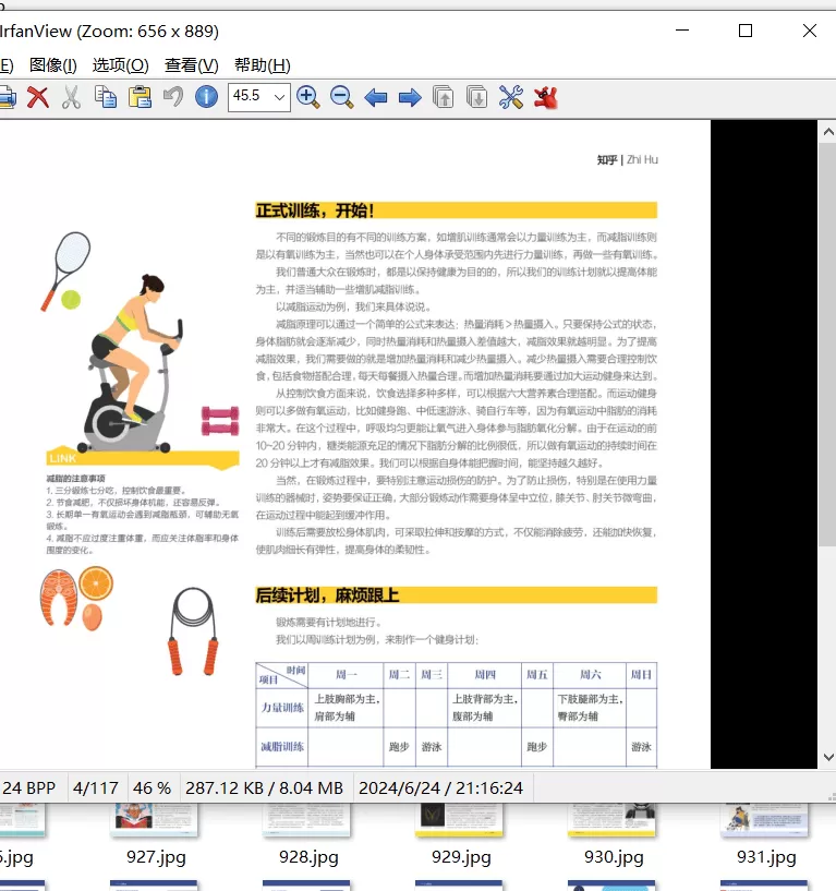 IrfanViewer 图像查看器v4.7.0