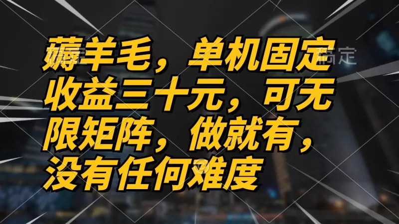 薅羊毛，单机固定三十元，可无限矩阵 做就有