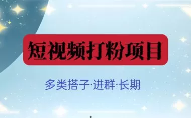 搭子进群项目陪跑，短视频打流（点击详情）