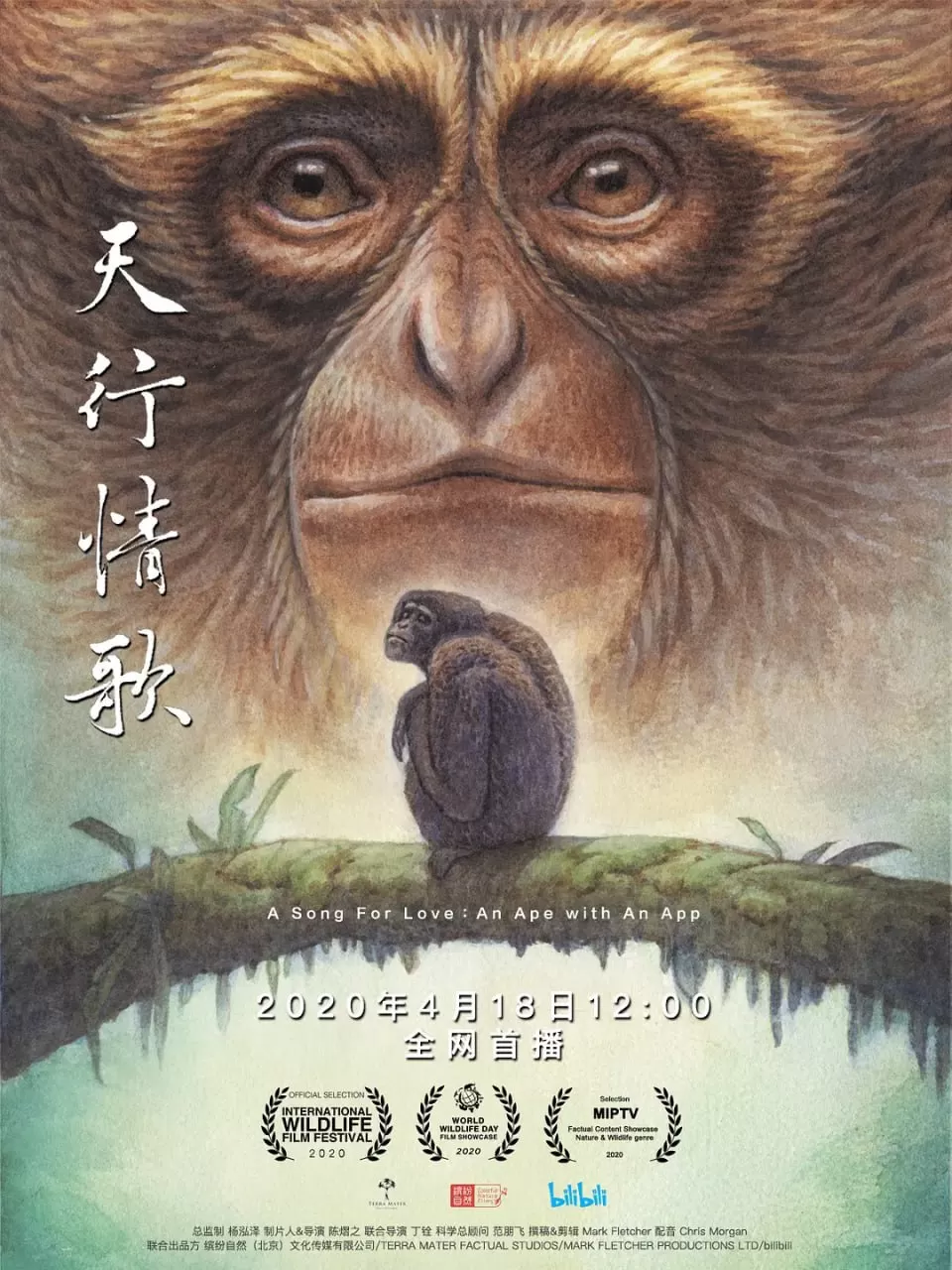 《天行情歌》纪录片 (2020)