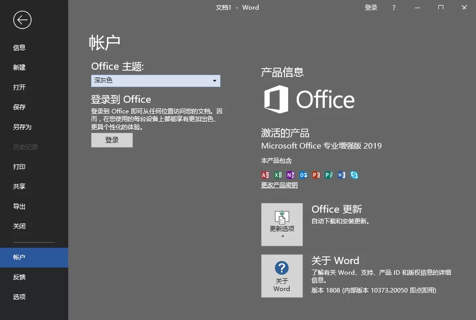 微软Office 2019 24年12月授权版