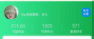 0.6一个点击,半下午收入315,简单玩法