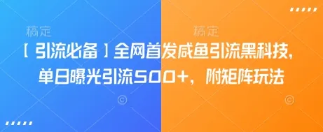 【引流必备】全网首发咸鱼引流黑科技，单日曝光引流超500+，附矩阵玩法
