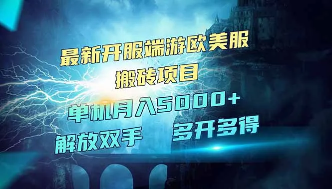 全网热门欧美服端游搬砖，新服开启，红利期项目，单机月入超5000
