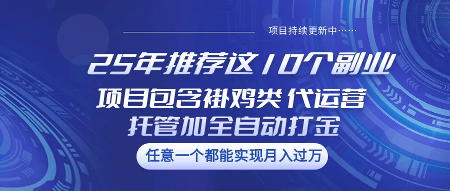 25年力荐这10个副业，项目涵盖褂鸡类、代运营托管类、全自动打金类。