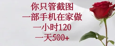 您只需截图，一部手机在家操作，一小时120元，一天5张图。