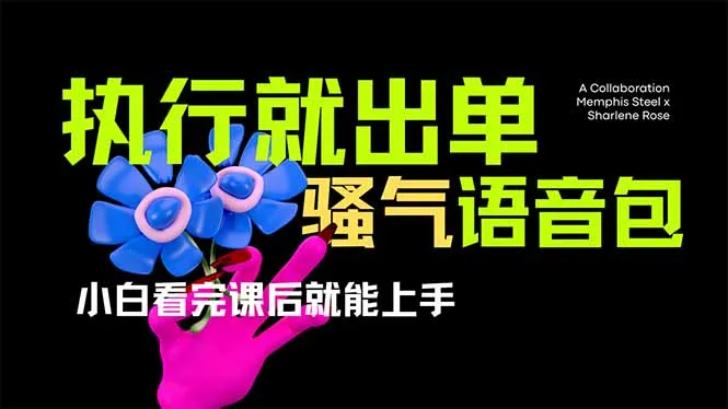 爆火全网的开车导航骚气语音包，执行即出单，小白学完课程就能实操…