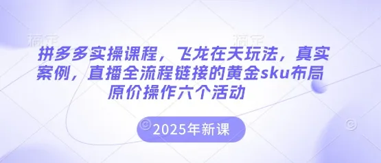 拼多多实操课：飞龙在天玩法，真实案例，直播全流程链接黄金SKU布局原价操作六活动