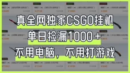 真全网独家CSGO挂G,单日捡漏1k+
