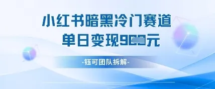 小红书冷门”暗黑”赛道，单日收益多张