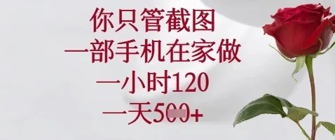 你只管截图，一部手机在家做，苹果安卓都可以，一小时120，一天5张+