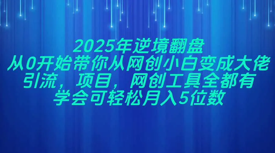 2025年逆境翻盘,从0开始带你从网创小白变成大佬,引流,项目,网创工…