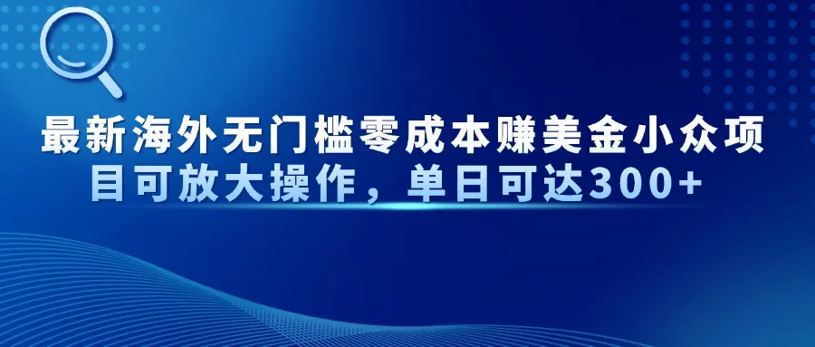 最新海外无门槛零成本赚美金小众项目可放大操作，单日可达300+