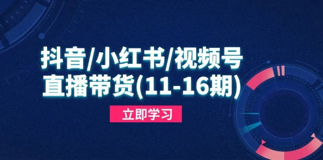 抖音/小红书/视频号/直播带货（11-16期），快速掌握平台规则，打造爆款内容