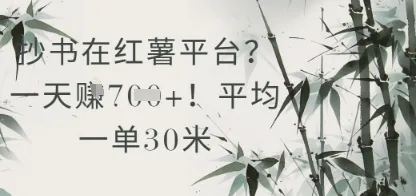 抄书在小红薯平台？平均一单30米，一天收益几张！
