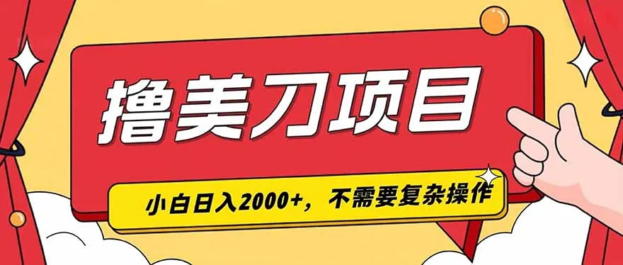 撸美刀，单日收入2000+，小白可做-706资源网