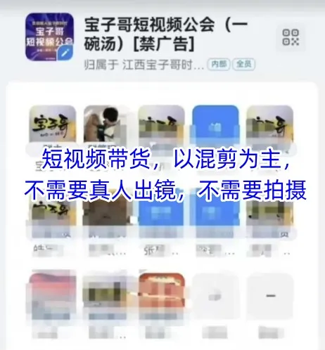 宝子哥头部团队短视频带货,以混剪为主,不需要真人出镜,不需要拍摄【更新26年1月】