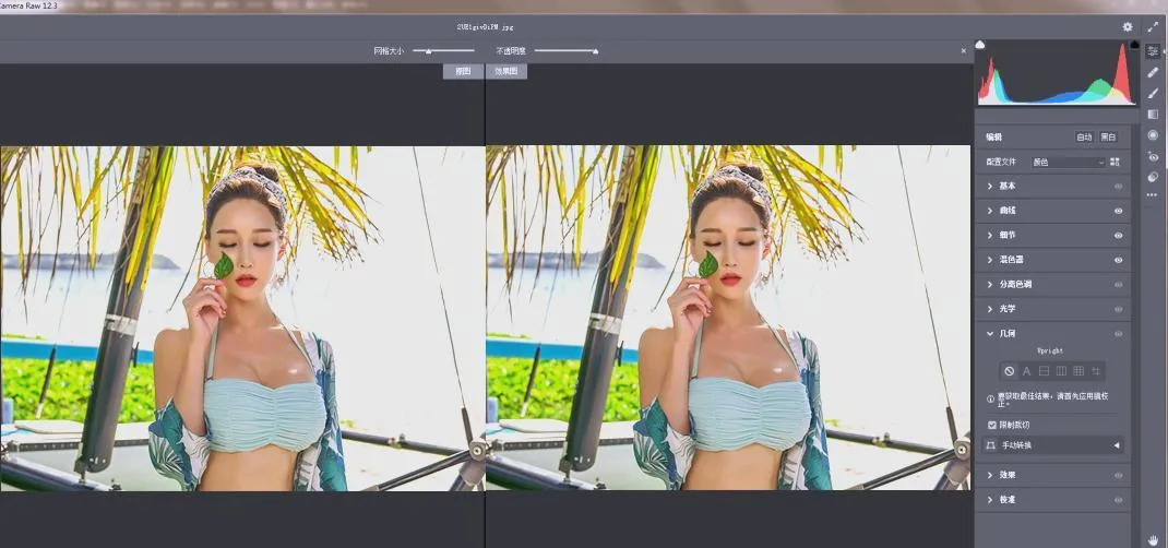RAW处理Adobe Camera Raw v18.6.0中文版-706资源网