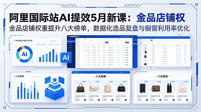 阿里国际站AI提效5月新课：金品店铺权重提升八大榜单，数据化选品复盘与橱窗利用率优化-706资源网