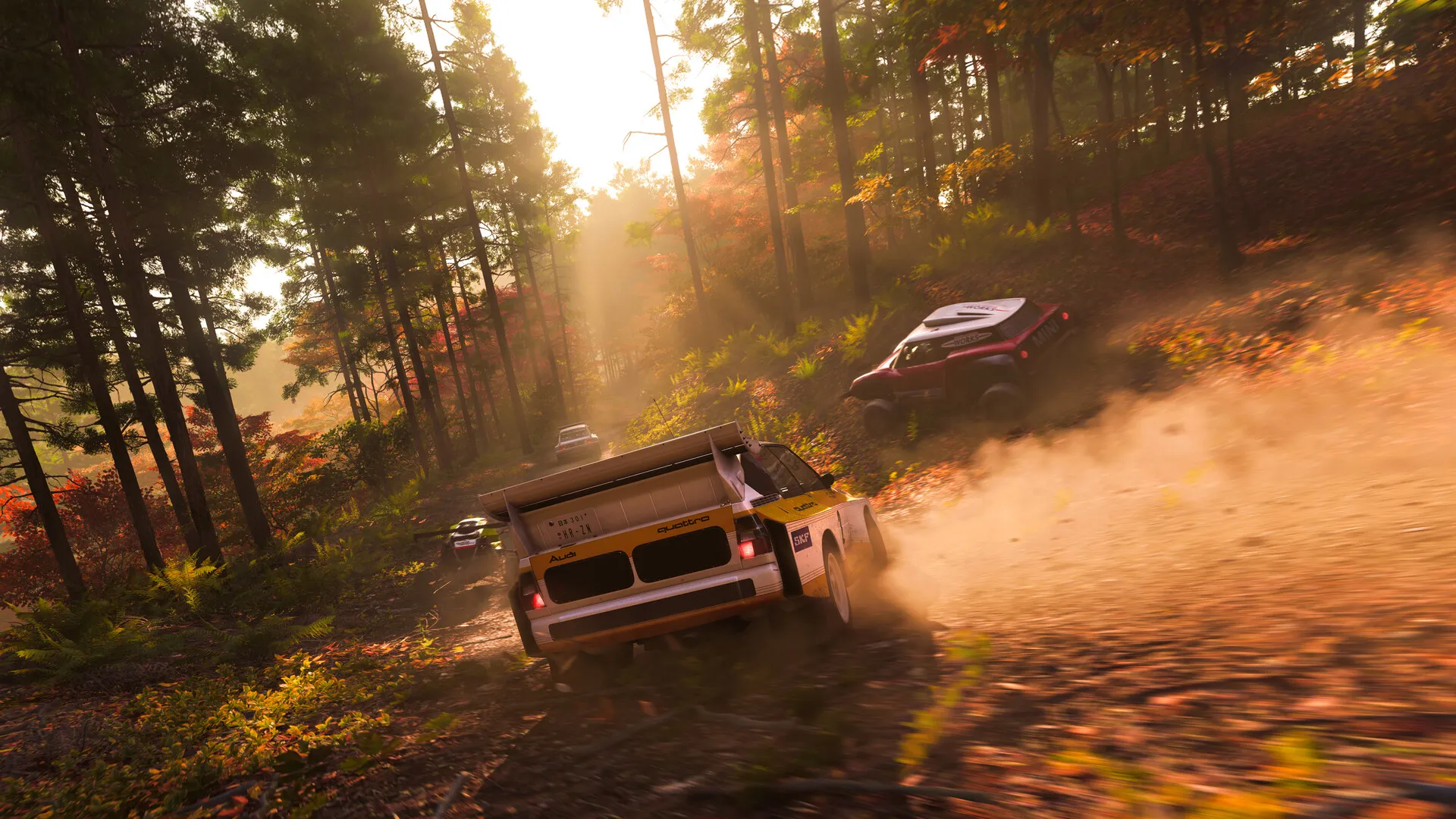 极限竞速：地平线6/Forza Horizon 6/支持网络联机