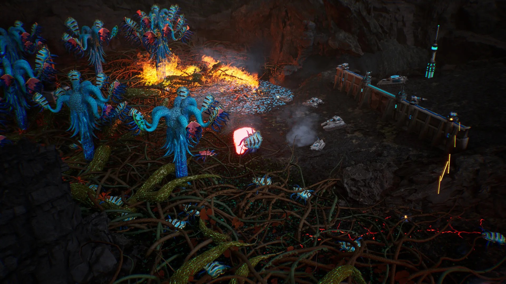 星萼/Calyx-706资源网