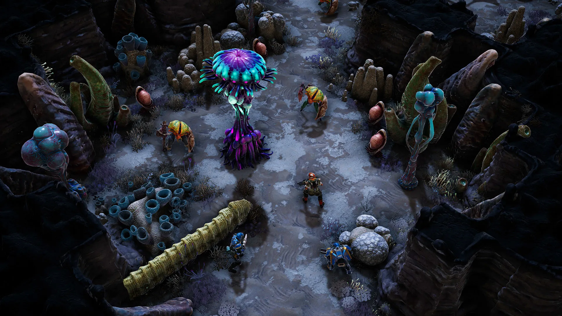 凤凰点：周年版/Phoenix Point: Year One Edition-706资源网