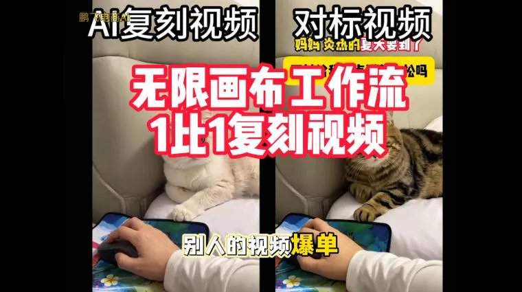宠物带货视频复刻，无限画布工作流1比1，不用拍摄、不用布景、不用真人出镜，几分钟就能做出一条专业带货视频-706资源网