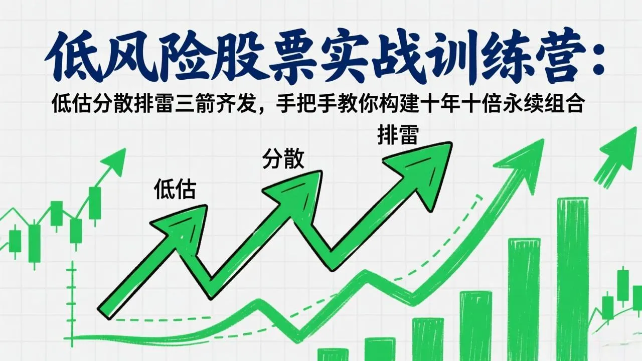 低风险股票实战训练营：低估分散排雷三箭齐发，手把手教你构建十年十倍永续组合-706资源网