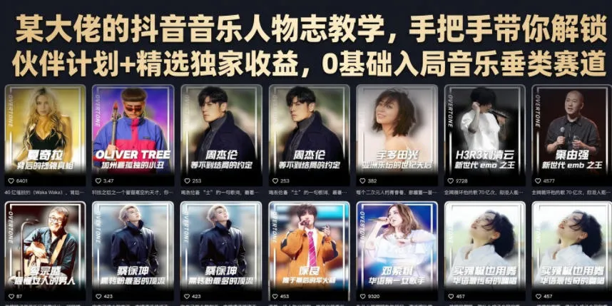 某大佬的抖音音乐人物志教学，手把手带你解锁伙伴计划+精选独家收益，0基础入局音乐垂类赛道-706资源网