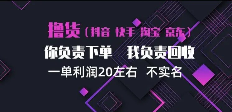 抖音淘宝快手买手项目，一单利润20左右，单号每天下三单，可矩阵【揭秘】-706资源网