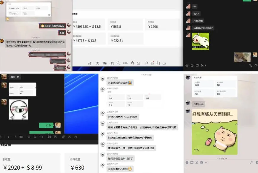 雷神加速器项目模拟器_无脑1分钟1条视频矩阵_疯狂报单打法【焚诀】-706资源网
