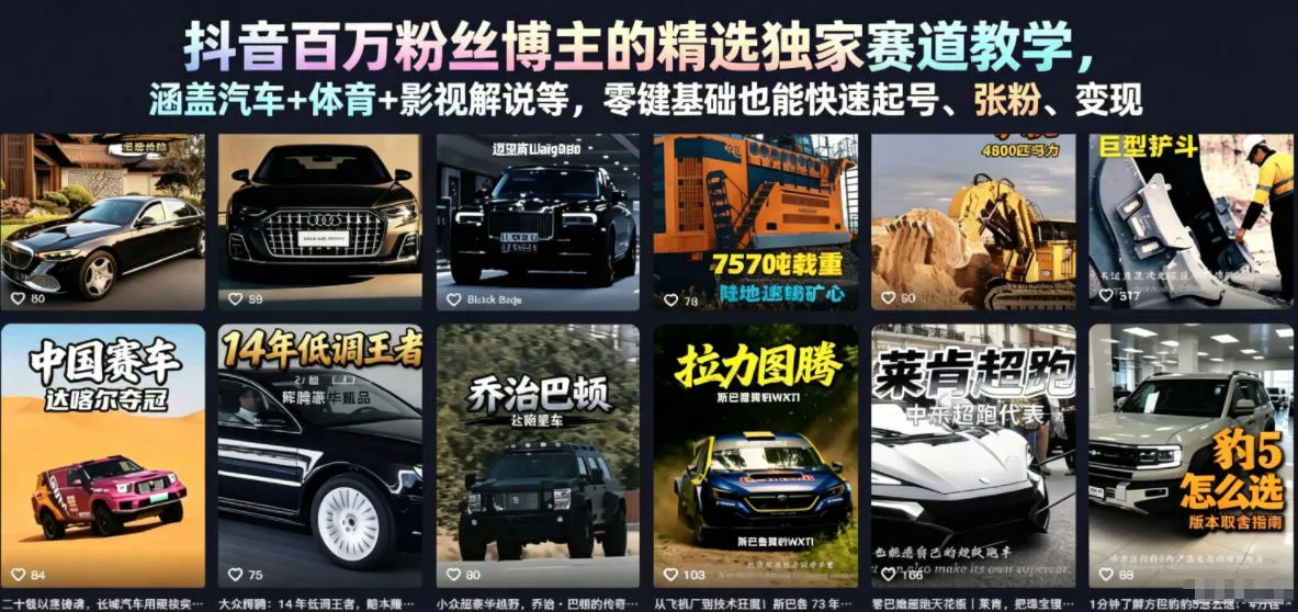 抖音百万粉丝博主的精选独家赛道教学，涵盖汽车+体育+影视解说等，零基础也能快速起号、涨粉、变现(更新0701)-706资源网