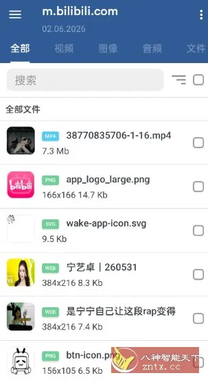 GetThemAll全能下载器3.6.5-706资源网