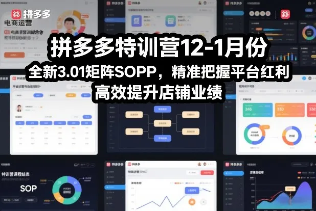 拼多多特训营12-1月份，全新3.01矩阵Sop，精准把握平台红利，高效提升店铺业绩-706资源网