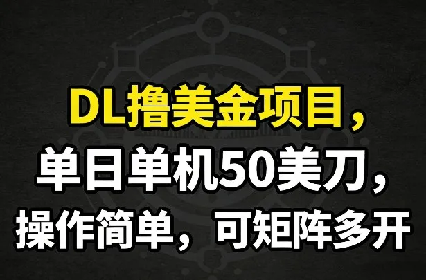 DL撸美金项目，单日单机50美刀，操作简单，可矩阵多开-706资源网